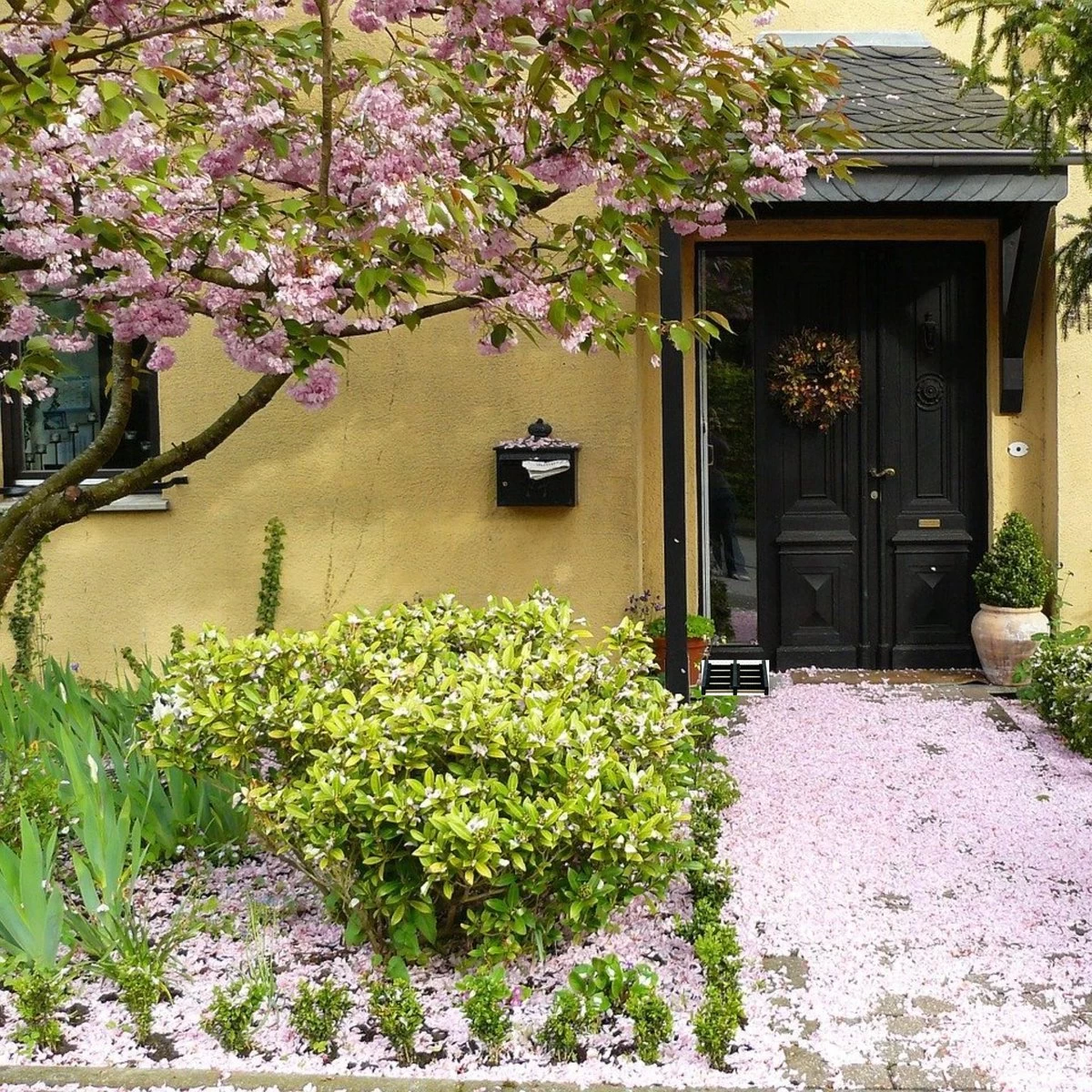 Talen Tools - Voetenveger - Dubbel - Harde Kunststof Borstels - Afbeelding 4