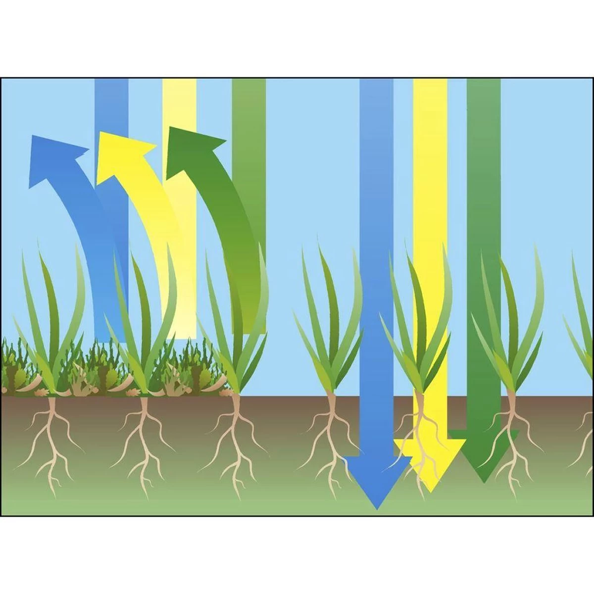 GARDENA EVC 1000 Verticuteermachine - Werkbreedte 30 Cm - Werkgebied 600m2 - Afbeelding 12