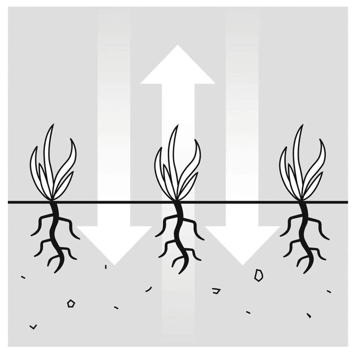 GARDENA EVC 1000 Verticuteermachine - Werkbreedte 30 Cm - Werkgebied 600m2 - Afbeelding 13