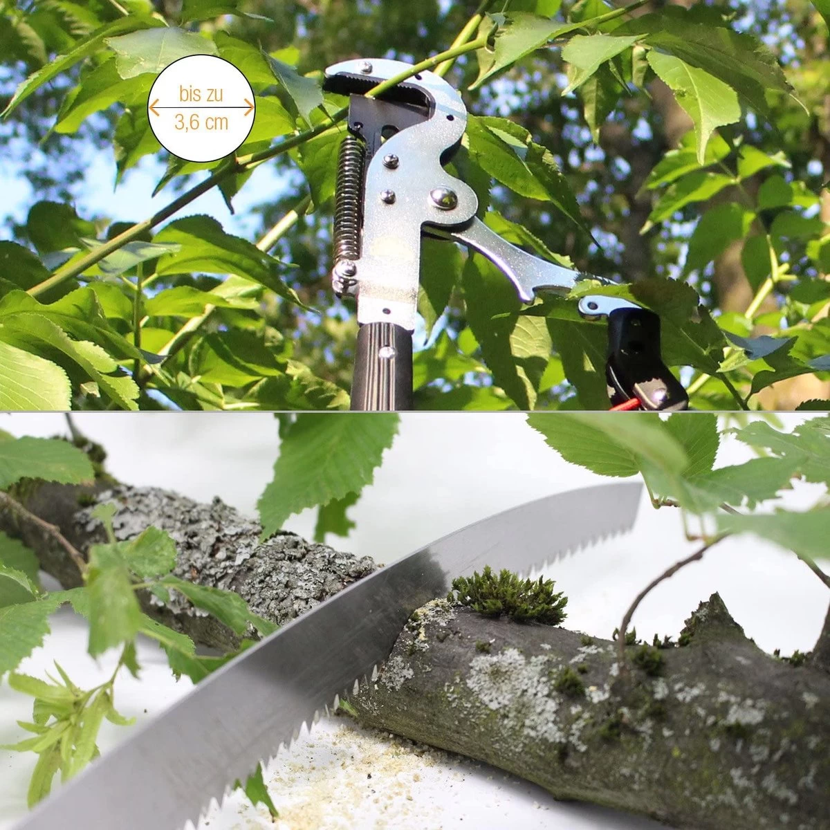 Iceberk Snoeischaar + Snoeizaag (1,45 - 3,70 M) - Telescopische Snoeischaar Voor Het Snoeien Van Bomen En Dichte Struiken Zonder Ladder - Afbeelding 5