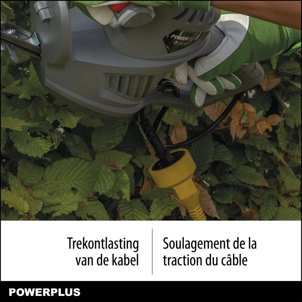 Powerplus POWEG40100 Elektrische Heggenschaar - 550W - Snoeien En Knippen - Zwaardlengte 560mm - Mesafstand 16mm - Haagschaar Voor Tuinonderhoud - Afbeelding 4