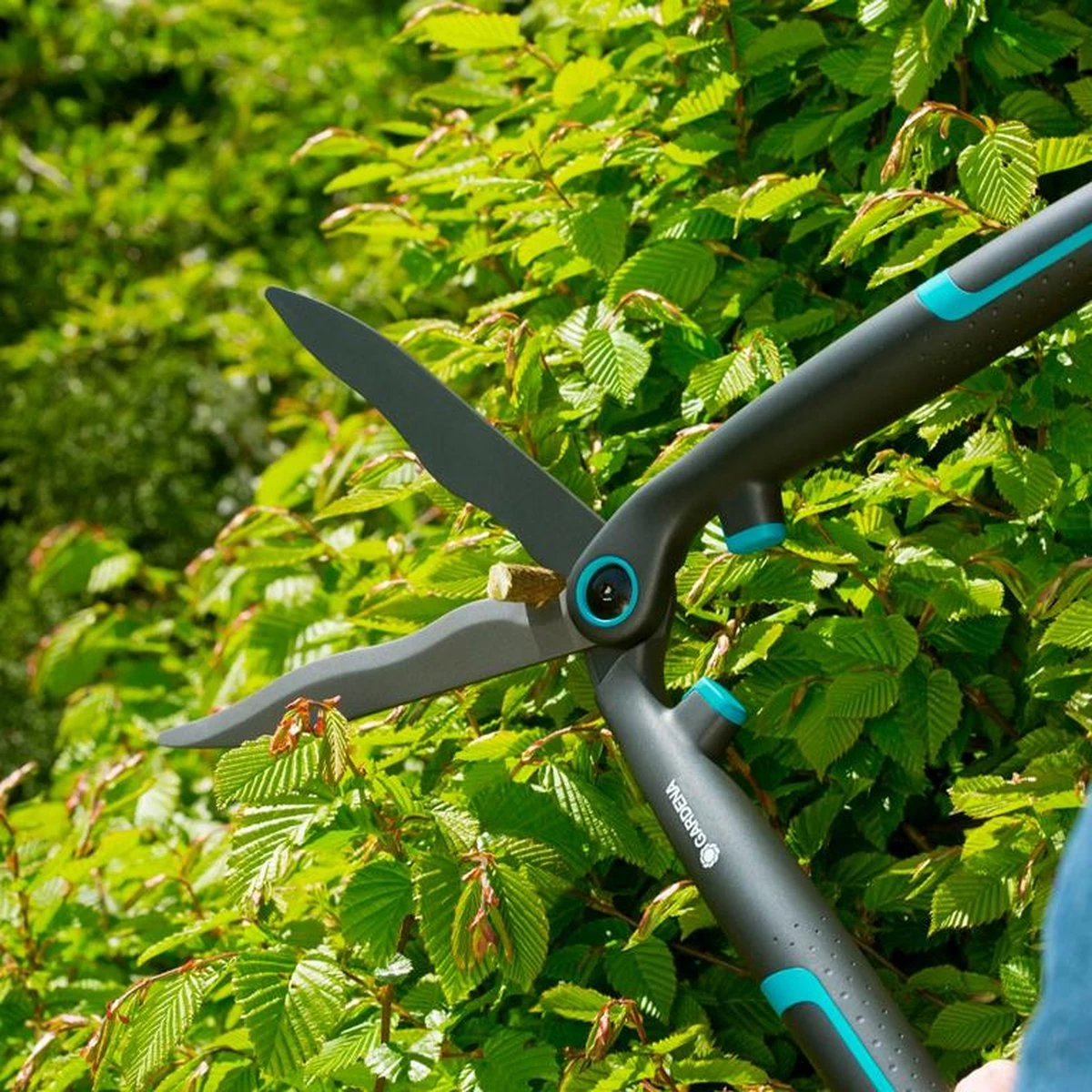 GARDENA - EasyCut - Heggenschaar - Extra Licht Van Gewicht - Afbeelding 11