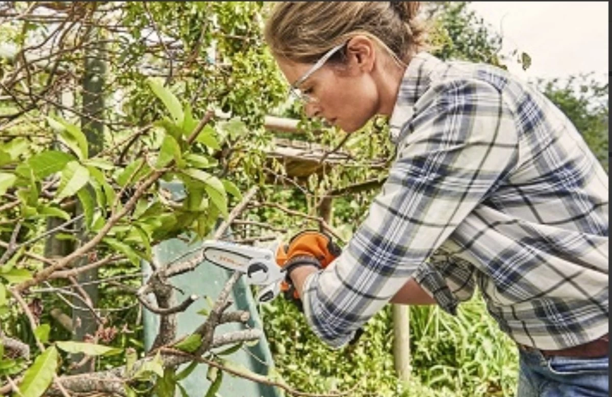 Stihl Accu Mini Kettingzaag SET - Snoeischaar - Snoeizaag - Hand Kettingzaag - Professioneel- Hovenier- Tuinman - Afbeelding 6