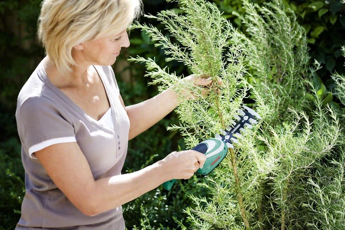 Bosch ISIO Gen III Accu Buxusschaar + Grasschaar - Afbeelding 4