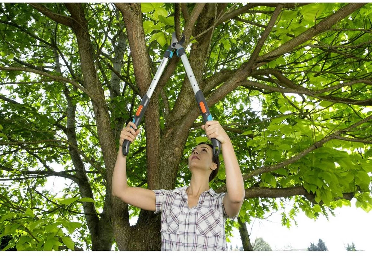 GARDENA - TeleCut Telescopische - Takkenschaar 520-670B - 42 Mm Verstelbare Lengte - Afbeelding 8