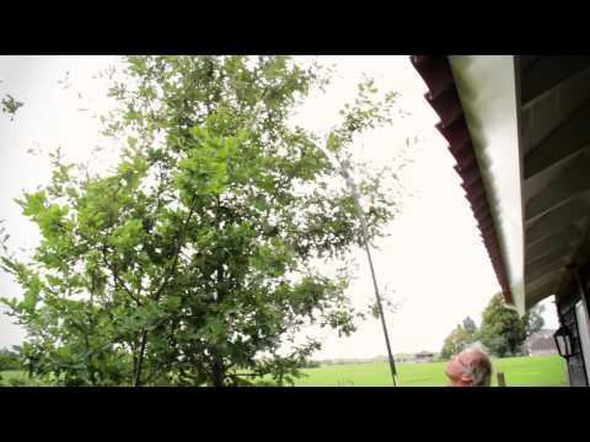 Hendrik Jan - Snoeizaag - Pistoolgreep - Gebogen - 30 Cm - Afbeelding 3