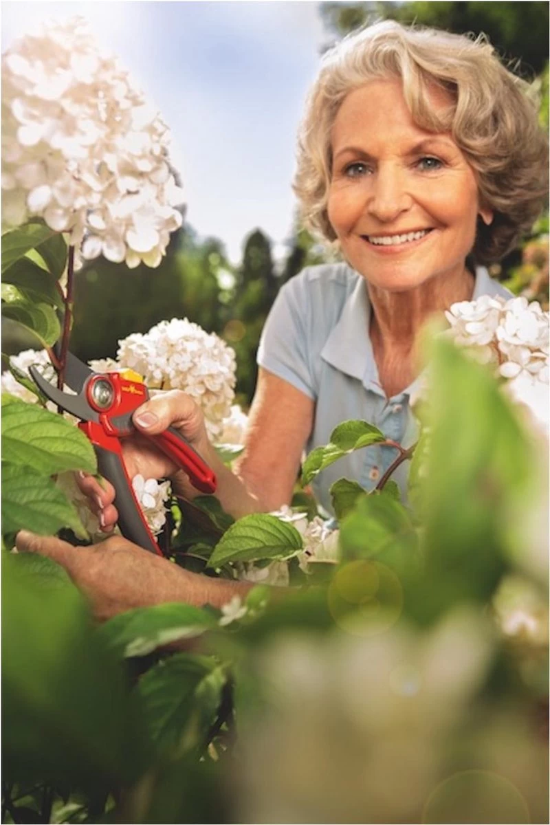 WOLF-Garten Snoeischaar "Premium Plus" RR 4000 - Max. Knipdiameter 22 Mm - Links- En Rechtshandige - Softinleg Handgreep - Snijhoek 30° - Voor Grote Handen - Vervangbare Messen - Afbeelding 8