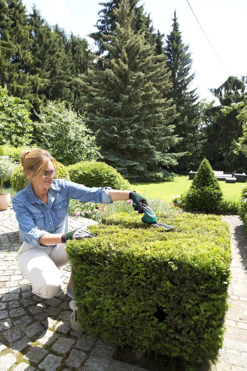 Bosch ISIO Gen III Accu Buxusschaar + Grasschaar - Afbeelding 3